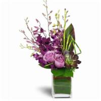 Orchid Jewels™ · Romantic, elegant, and luxurious - they'll be thrilled! Deep purple stems of dendrobium orch...