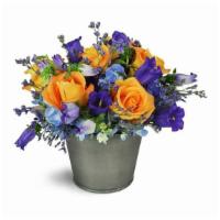 Fall Splendor™ · Stunning tangerine and deep plum hues are a perfect complement, reminiscent of a lovely Autu...