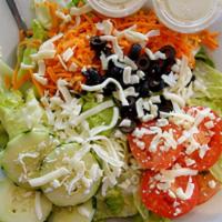 Large Garden Salad · Lettuce, sliced tomatoes, cucumbers, crunchy carrots, black olives and mozzarella cheese. . ...