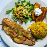 Caribbean Catch · Grilled tilapia filet marinated with house sauce served with black beans, rice, fried planta...
