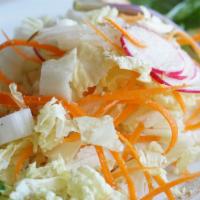 Napa Cabbage Salad · Carrots, radish, cilantro, toasted sesame, sweet rice wine vinegar. (VEG, V, GF)