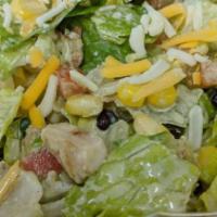 Grilled Chicken Salad · Romaine lettuce, grilled chicken breast.com, black bean, pepper jack cheese, pico de gallo, ...