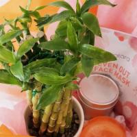 Bamboo Plant And Gift Basket Set For Her.  · Gift basket set and bamboo plant was created for any occasion. Step outside the box from ord...