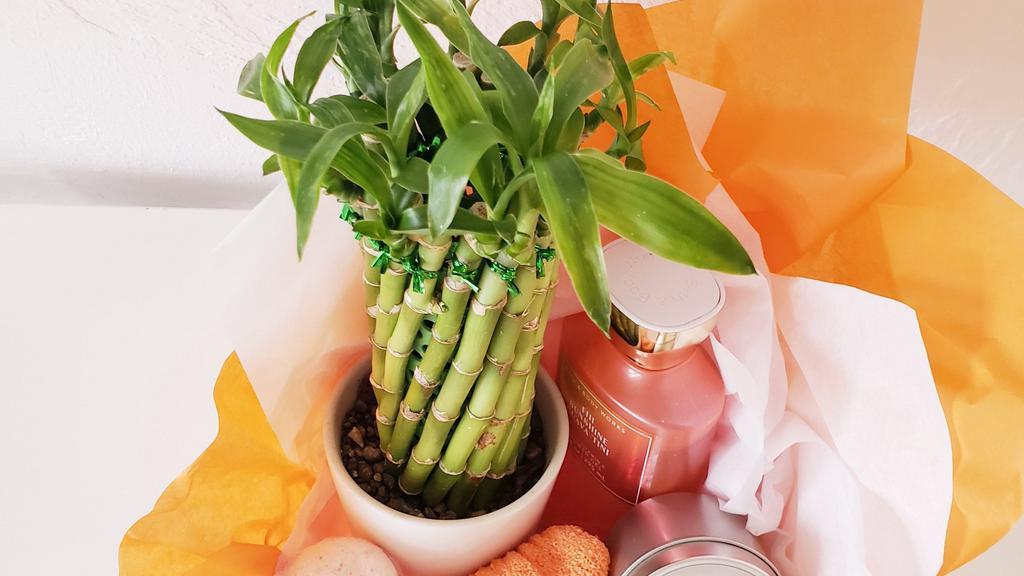 Bamboo Plant Gift Basket For Self Care · Lucky bamboo plant inside white porcelain planter easy to grow, low maintenance. Gift set is for relaxation and self care, she can rejuvenate with bath bomb,  bath and body works body wash, orange exfoliating gloves, and relaxation candle. This is an exclusive gift you won't find anywhere else.