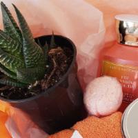 Live Succulent Bath And Body Gift Set. · She will Relax and feel pampered with this bath and body works self care gift set with succu...
