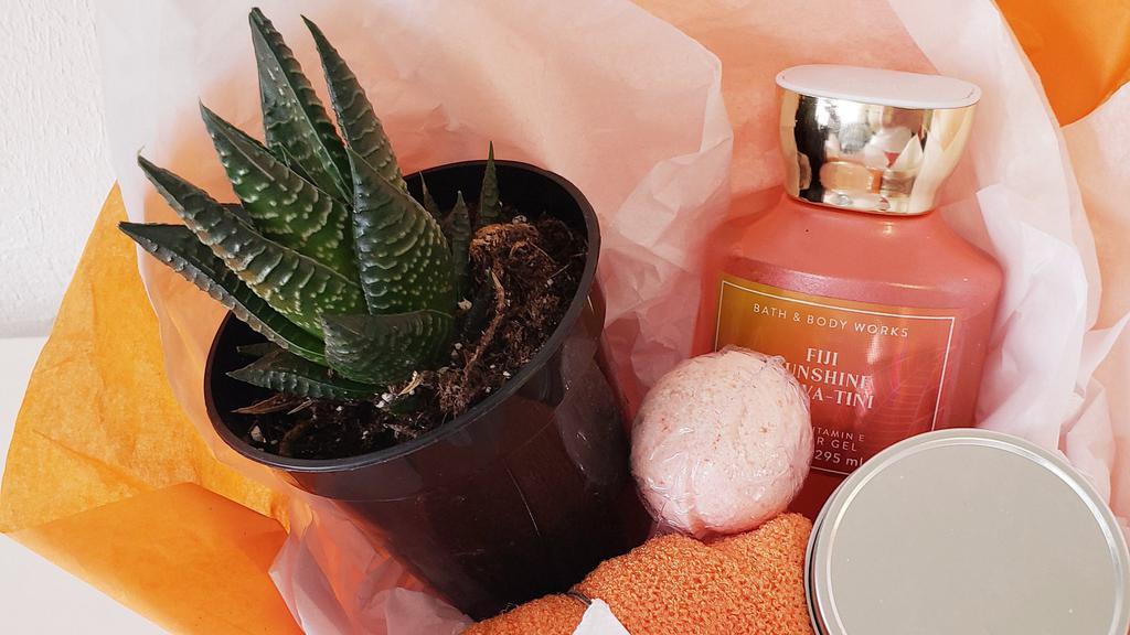 Live Succulent Bath And Body Gift Set. · She will Relax and feel pampered with this bath and body works self care gift set with succulent, relaxation candle,  bath and body works body wash,  exfoliating gloves, and bath bomb.