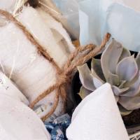 Succulent Plant And Gift Set · Live succulent plants and gift set Includes succulent,  relaxation candle,  white wash cloth...