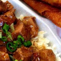Pork Adobo Plate · Braised meat, soy sauce based.